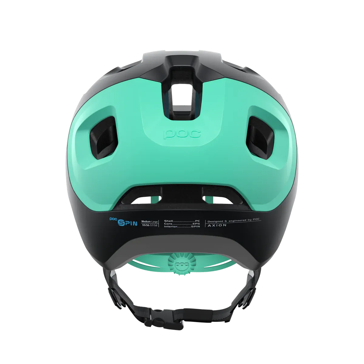Axion SPIN